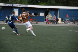 vvileidsvЖg2012 044